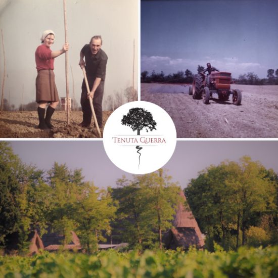 azienda-tenuta-guerra